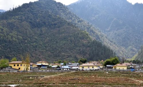 察隅 隐藏于峡谷密林的 西藏江南 草地神州风物