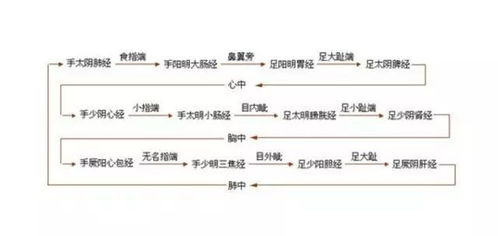 十二经络不通对应人体的症状 