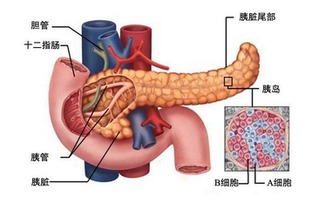 胰腺癌的晚期能治愈吗 