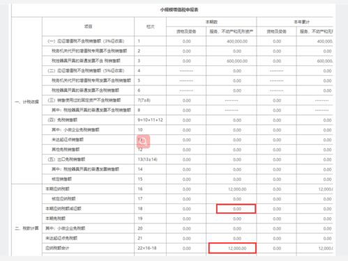 小规模纳税人注销五年后重新恢复资产负债表怎么报