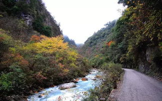 四川最不打挤的两个红叶观赏地,一条路线,两天耍完,住宿超便宜 