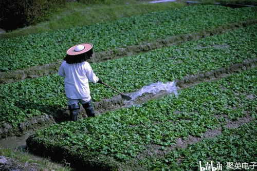 智能灌溉系统,颠覆传统农业灌溉方式