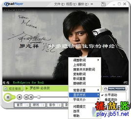 realplayer10下载