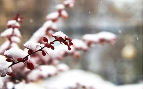 天津迎来今冬初雪 这里暴雪蓝色预警 还有这些事要注意