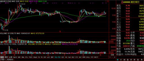 为什么通达信双击股票简称无法显示