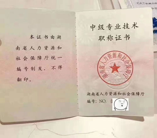 中级职称四种获取方式,你更青睐哪一种