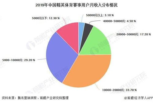 体育赛事的市场分析