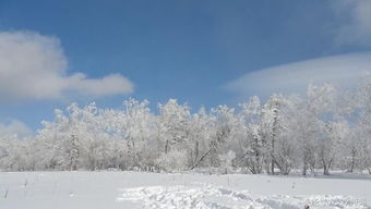 下雪的句子大全经典