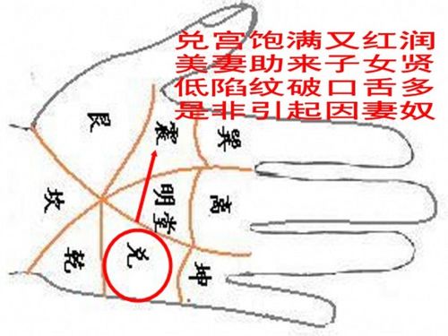 手相八卦九宫中兑宫的解释 