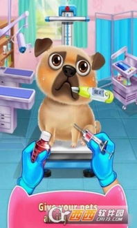 狗狗的宠物医生游戏下载 狗狗的宠物医生游戏安卓版 ios下载v1.0 狗狗的宠物医生游戏下载安装免费下载 