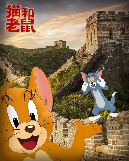 猫和老鼠电影大全下载,猫鼠电影大全免费下载猫鼠是经典的动画片,陪伴了很多人度过了童年