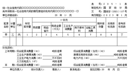 工业企业能源购进消费与库存（季，年报通用）怎么填写