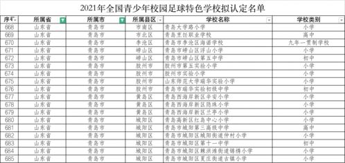 中国足球学校总数排名前十，为培养未来足球英才助力