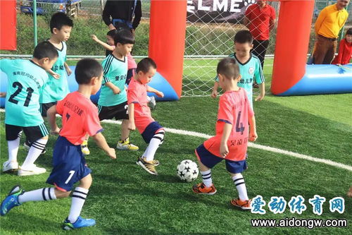 海口市幼儿足球邀请赛开踢 近百名小球员参与