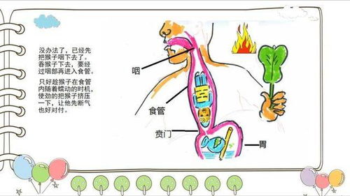 小组合作用近百小时完成一份创意作业,值得吗 超银学校 超值