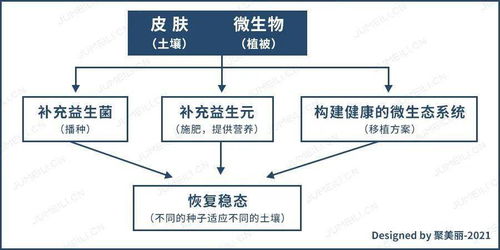 一种微生态理论叫什么(微生态有哪些)