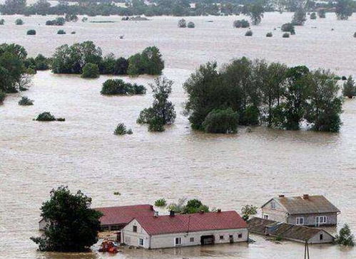 1998年大洪水,乡亲们跪地哭喊 求你们别跳了,房子我们不要了
