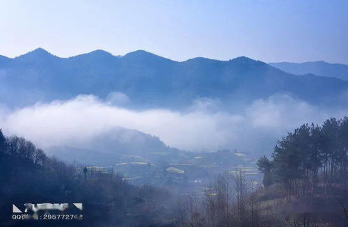 ◣九岳视界◥ 仙境般的山下花田 唐家湾