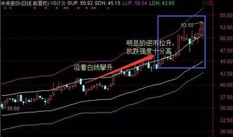 怎么用技术能找到一种股票就是大盘下跌它是小幅上涨，大盘上涨大幅上涨