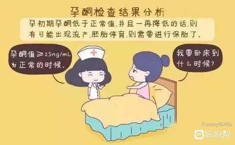 HCG和??孕酮分析 图文