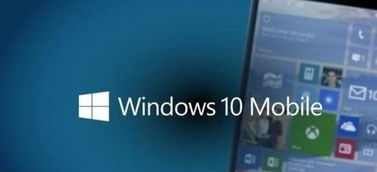 wp8.1如何升级win10正式版