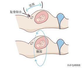 孕28 32周,孕妇要注意什么,需要做哪些产检,胎儿有什么变化