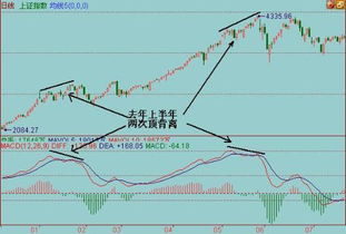 价格与资金流量背离反映出股票什么走势