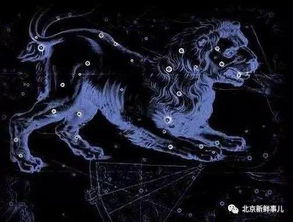 当十二星座遇上北京,每个区代表每个星座,准到离谱 