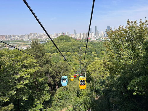 无锡之旅第四站 锡惠公园 索道 惠山豆腐花 