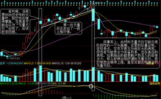 如果一个股票一天涨停并放出天量这表示什么？