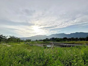 深圳嶂背郊野公园停车场收费吗 (深圳龙岗有免费的停车场吗)