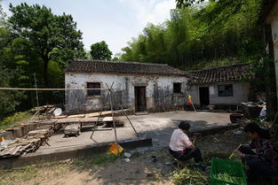 骑行泾县 东流山村 以一座大山命名的村落