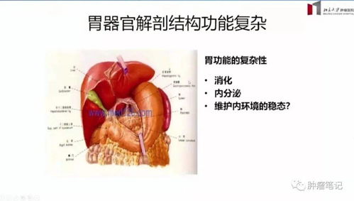 肿瘤大咖谈 沈琳教授实例讲解8大特殊类型胃癌的综合治疗