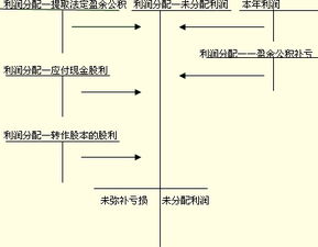 用盈余公积分配股利需要经过哪些程序？