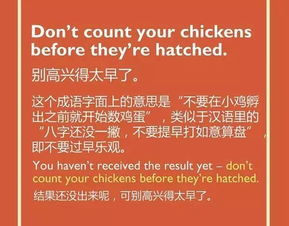 五种英语表达说 鸡