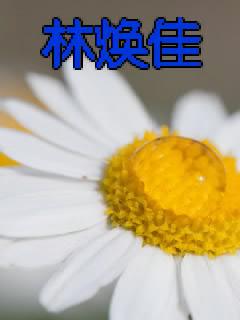 帮忙给个人起个花名 