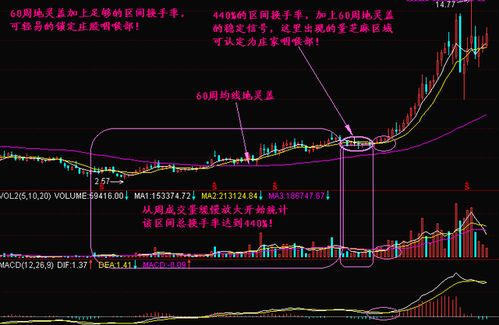 庄家的反技术操作主要是针对哪几个指标