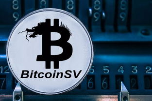 bsv币是什么币种,BSV-比特币SV是什么？