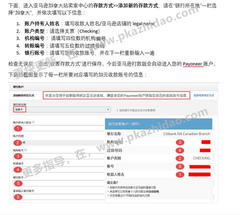 p网注册教程 p网注册教程 NTF