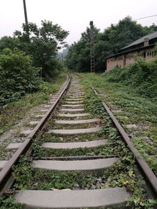 沙坪坝区 梨树湾汇康医院站,芭蕉沟,四川外国语大学,梨树湾站未命名