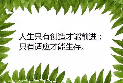 做人其实很简单,你对我好,我会对你更好