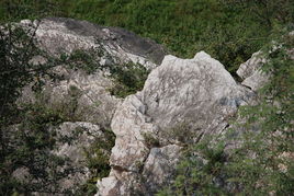 山石小景 艺术家园 