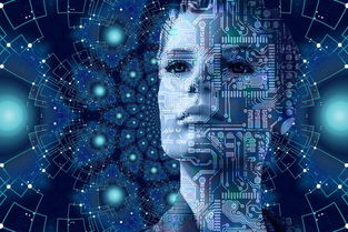 人工智能课程有用吗,人工智能课程：掌握未来科技，开启人生新篇章