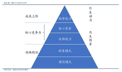 圣女果和千禧果的区别