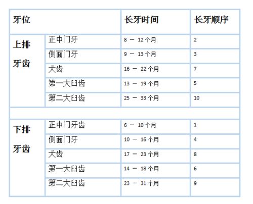 牙齿萌出顺序如下图 信息评鉴中心 酷米资讯 Kumizx Com