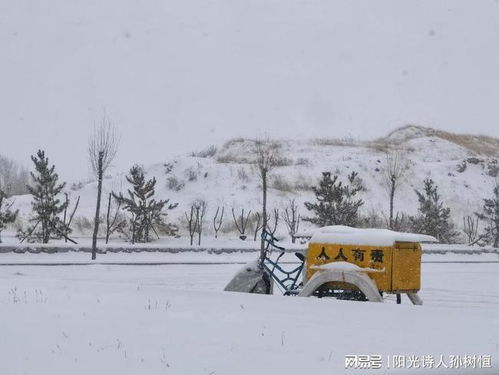 家乡下雪了想家的句子