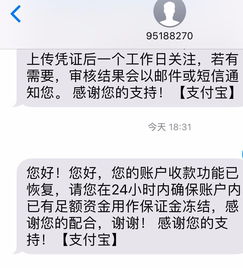 支付宝被举报收款转账功能被关闭填承诺函资金冻结什么时候能好 