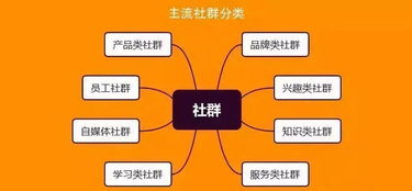 银歌最新发现 社群营销的必看公式