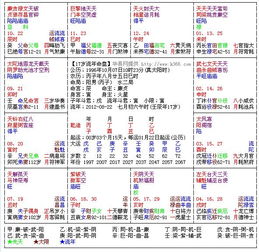 请高手分析本紫微流年盘,十分感谢 