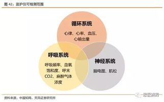 从迈瑞医疗的成功，能得到怎样的启示？